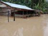 Banjir Terjadi di Aceh Timur-Langsa, Ratusan Warga Mengungsi
