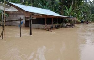 Banjir Terjadi di Aceh Timur-Langsa, Ratusan Warga Mengungsi