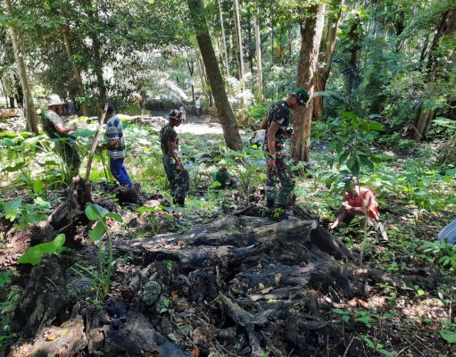 Satgas Pamtas Sektor Timur Bersama Masyarakat Mahen Tanam Ratusan Pohon Mahoni