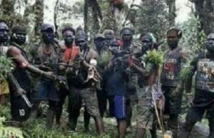 Polri Tegaskan Tak Semua Wilayah Papua Diganggu KKB